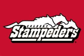 We did not find results for: Calgary Stampeders Logos