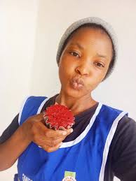 Criticism of a poorly made meat pie