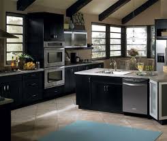 Contemporary Black Kitchen Cabinets Schrock Contemporary Black Kitchen Black Kitchen Cabinets Kitchen Remodel Plans