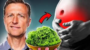 Eating Plant-Based Promotes Peace of Mind