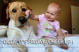 There are different kinds of memes. 54 Friday Meme Pictures That Show We All Live For The Weekend