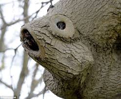 Pin On Trees