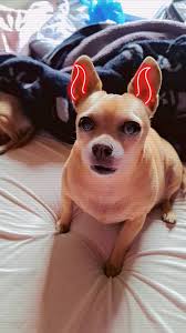 Goodmorning, Anyone available today after 3pm to clean my steps.