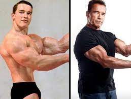 I Ll Be Back Schwarzenegger Bodybuilding Arnold Schwarzenegger Bodybuilding Arnold Schwarzenegger