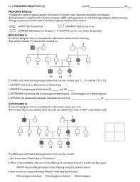 11 1 Pedigree Practice 2