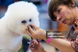 48 Photos & High Res Pictures