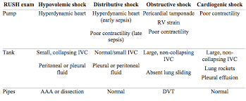 Start studying rush ultrasound exam. Rush Protocol Rapid Ultrasound For Shock And Hypotension