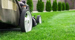 Check spelling or type a new query. Gurr Garten Landschaftsbau Rasen Die Pflege Macht S