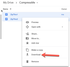 On first use, the extension will ask you to authorize zip extractor to access to google drive. How To Zip Files In Google Docs And Macos Seven Peaks School