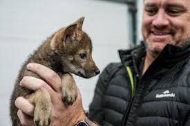 From Doane to De-Extinction