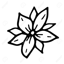 The curvy leaves and design add to its beauty. Hand Drawn Doodle Of Flowers Simple Line Sketch Floral Collection Black And White With Lettering Flowers Vector Illustration Isolated On White Background Royalty Free Cliparts Vectors And Stock Illustration Image 144111387