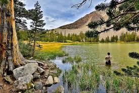 Hd Wallpaper Fishing Outdoors Fly Fishing Fisherman Water Nature Pole Wallpaper Flare