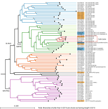 Worldremit sends more than 1 million mobile recharges per year. Identification Of The Decumbenone Biosynthetic Gene Cluster In Penicillium Decumbens And The Importance For Production Of Calbistrin Springerlink