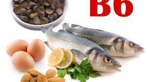 Fondamentali nel processo di conversione dei carboidrati in glucosio, hanno un ruolo importante nel garantire il giusto apporto di energia all'organismo. Alimenti Che Contengono Vitamina B6