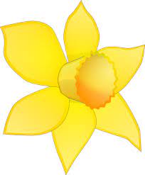 Daffodil Flower Clip Art Daffodil Image Stripped Clip Art At Clker Com Daffodils Clip Art Daffodil Images
