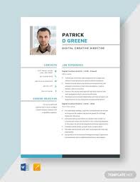 Modern resume design for the modern day resume. Modern Resume Templates Doc Free Premium Resume Template Modern Professional Insymbio