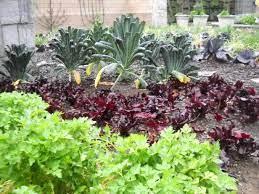 How to create a vegetable garden in your backyard. Maintaining A Vegetable Garden Hgtv