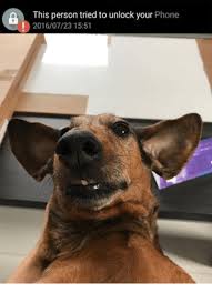 This person tried to unlock your phone 2016/07/23 15:5 iphone . This Person Tried To Unlock Your Phone 20160723 1551 Phone Meme On Esmemes Com