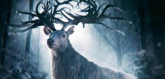 Diane gordon march 24, 2021, 9:28 a.m. Fantasy Grossereignis Bei Netflix 13 Weitere Brillante Buch Verfilmungen Starten Im April 2021