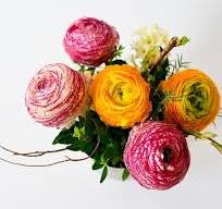 400.000 Immagini Fiori da scaricare gratis - Pixabay