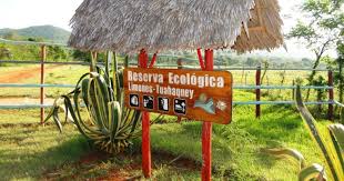 Cuba presume de pinturas aborígenes descubiertas mucho antes que las cuevas  de Altamira, en España