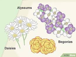 We did not find results for: How To Create A Spilled Flower Pot 15 Steps With Pictures