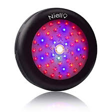 Check spelling or type a new query. á… Niello Led Grow Lampen Test 2021 Alle Baureihen