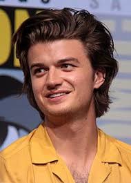 We did not find results for: Joe Keery Wikipedia