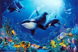 Check spelling or type a new query. Amazon Com 24x36 Delight Of Life Underwater Scene Art Print Poster Orca Posters Posters Prints