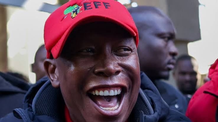 South Africa's Julius Malema: The opposition leader who has thrown Africa's oldest surviving political party into disarray again | World News | Sky News