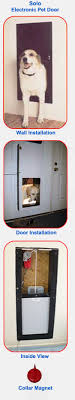 The door is triggered by a. Electric Dog Doors Reviewed