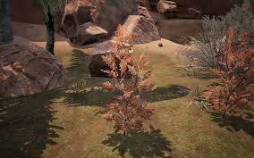 Every single fg repack installer has a link inside, which leads here. Conan Exiles Knochen Farmen Fasrcandy