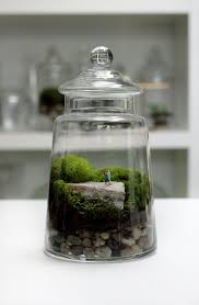 Masterpiece Limited Edition Twig Terrariums Moss Gardens With Miniature Figurines Twig Terrariums Terrarium Mini Garden
