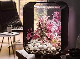 Alangkah puasnya apalagi aquarium mini tersebut adalah hasil buatan kita sendiri, walaupun jadi diperlukan 1 lembar kaca yang berukuran minimal 100 cm x 70 cm. 7 Ide Hiasan Aquarium Cantik Yang Murah Meriah