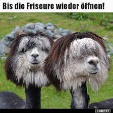 We did not find results for: Einfach Nur Lustige Hunde Katzen Und Andere Tiere Facebook