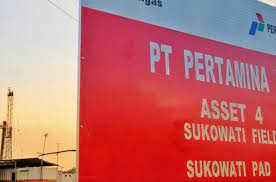 Managing mature fields in pertamina ep. Pertamina Ep Aims To Book Us 780m In Profit Next Year Business The Jakarta Post
