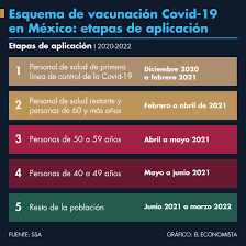 Con la inmunidad de rebaño como finalidad, el personal de salud a lo largo. Esquema De Vacunacion Covid 19 En Mexico Etapas De Aplicacion El Economista