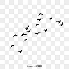 Flying Bird Png And Psd Flying Bird Silhouette Birds Flying Silhouette Illustration