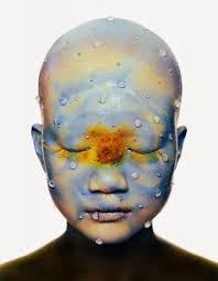 Lily Steiner's Instagram, Twitter & Facebook