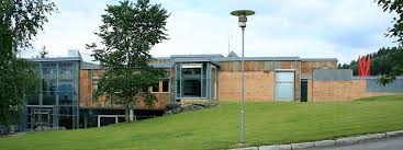 Стив ван зандт, тронд фауса аурвааг, стейнар саген и др. Lillehammer University College Wikipedia