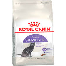 Royal Canin Sterilised Kedi Mamasi 4 Kg 3182550737616 Amazon Pet Center