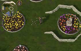 My name in runescape is dmc3321. Pirate S Treasure Runescape Guide Runehq
