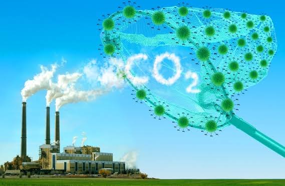 Carbon Capture and Conversion