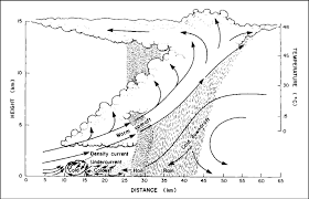 A line of thunderstorms (sometimes severe) that form in front of or along a cold front. 2 Schematic Of A Dust Storm Of The Squall Line Type From Pye 1987 Download Scientific Diagram