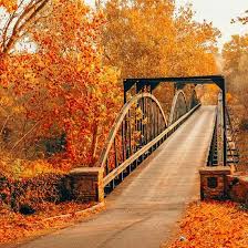 F. Shelton “Papa” Bowen Obituary