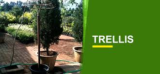 Garden trellises and arbors will always add an elegant look to your garden or backyard. Garden Trellis Online India Buy Garden Trellis Garden World