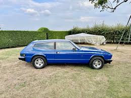 Image result for Powder Blue 1994 Reliant