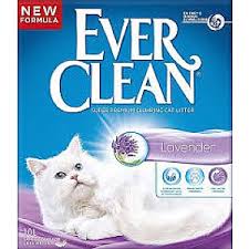 Quik Cam Pellet Kedi Kumu 1 5kg Cihan Akvaryum