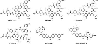 Oxytocin injection bp 5 iu/ml solution for injection 1 ml ampoule contains 5 iu oxytocin based on the wide experience with this medicine and its chemical structure and pharmacological properties, it. Hybrid Peptide Small Molecule Oxytocin Analogs Are Potent And Selective Agonists Of The Oxytocin Receptor Sciencedirect