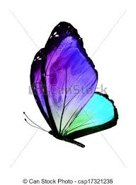 Flying Butterfly Drawings With Color Break it down into steps to keep it fun and easy.